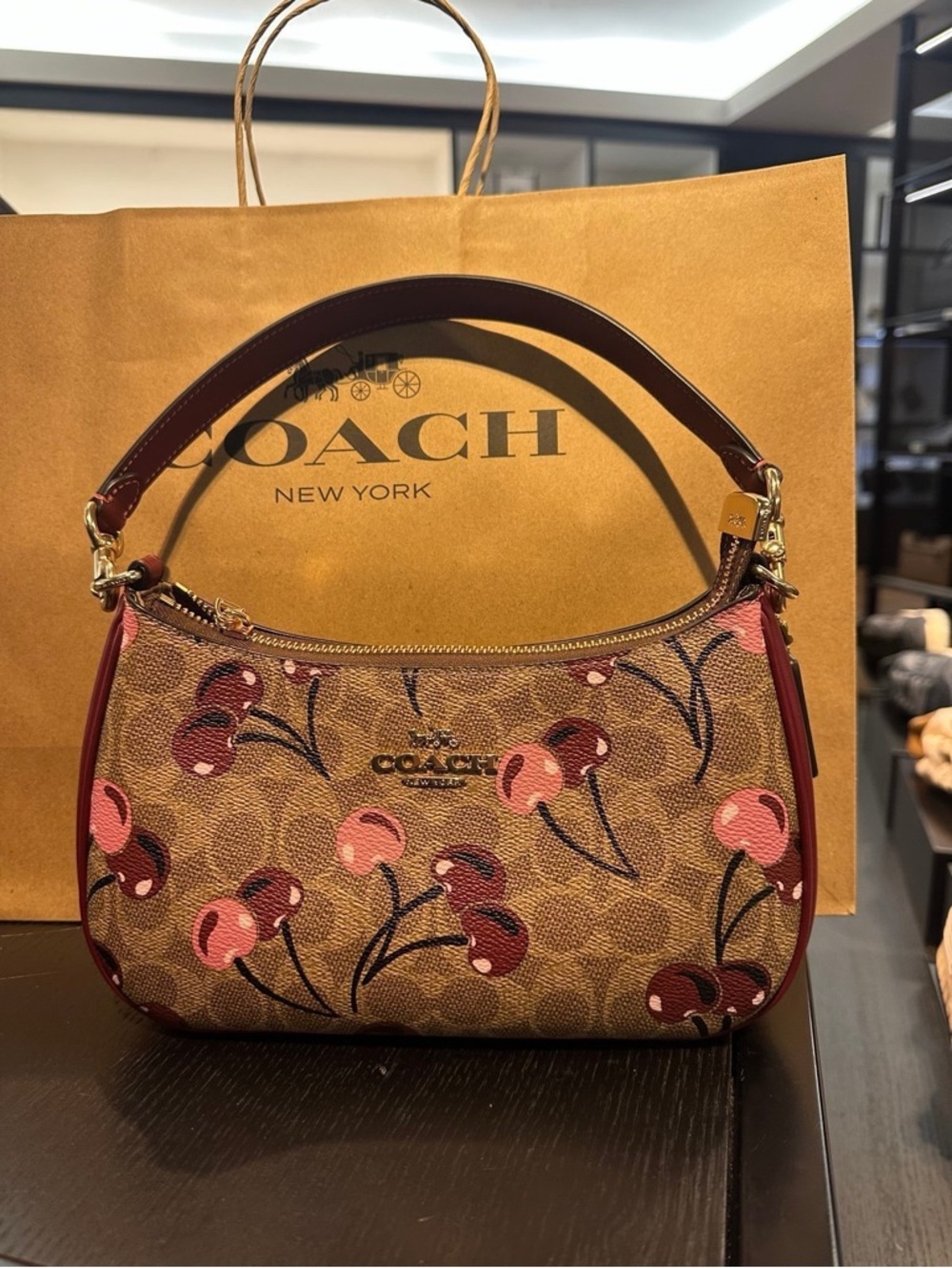 Coach Teri Shoulder Bag In Signature Canvas With Cherry Print